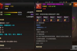 真王什么装备最好